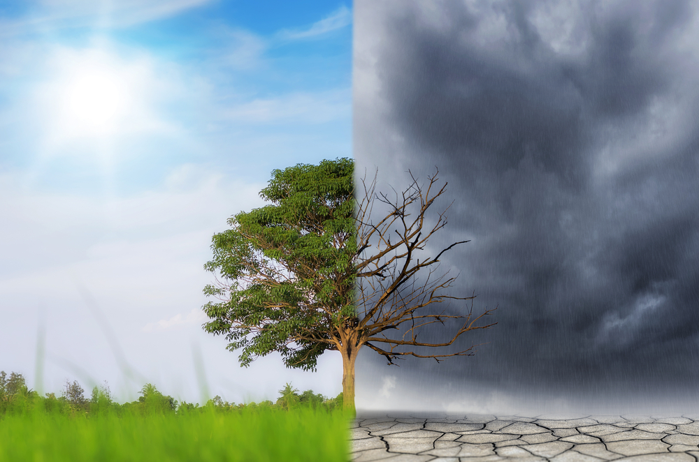 Cambiamenti climatici e riscaldamento globale spiegati ai bambini