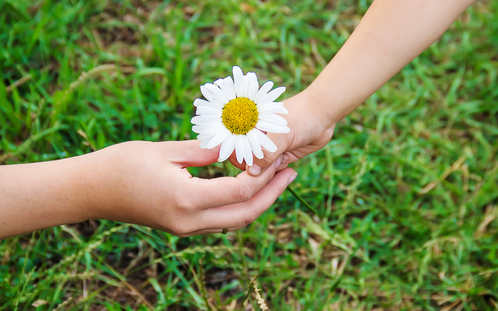 Giornata della gentilezza: le frasi più belle e significative
