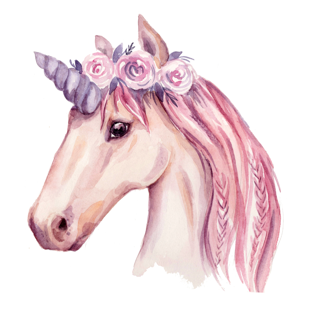 disegni-unicorno-colorati-4.jpg