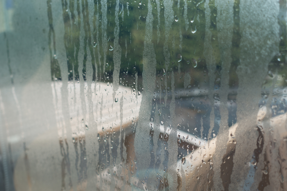 Come togliere l’umidità in casa: 6 rimedi per mantenere il livello ottimale