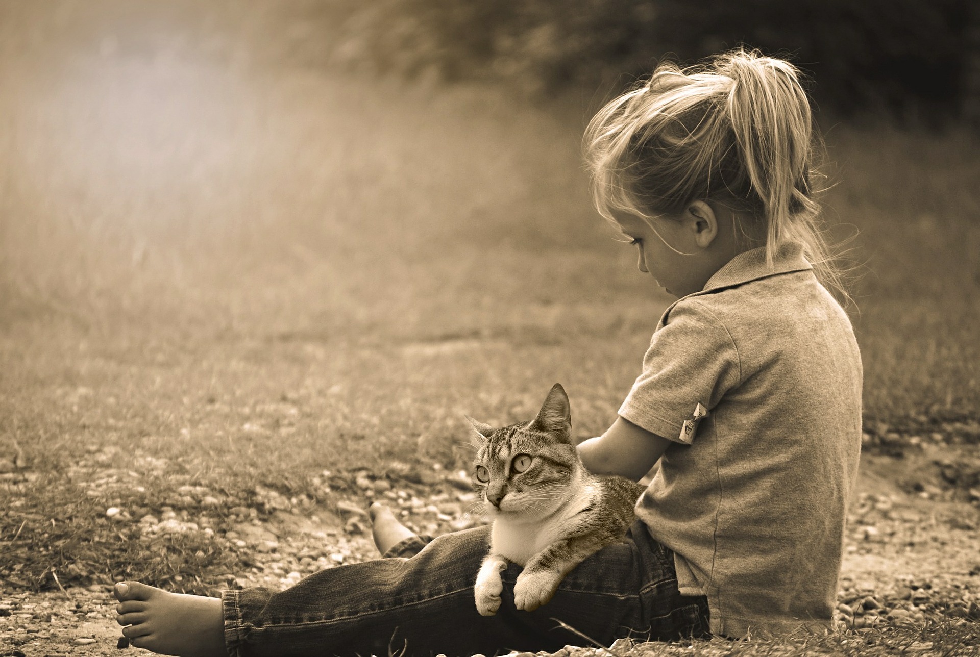 Come convincere i genitori a prendere un gatto