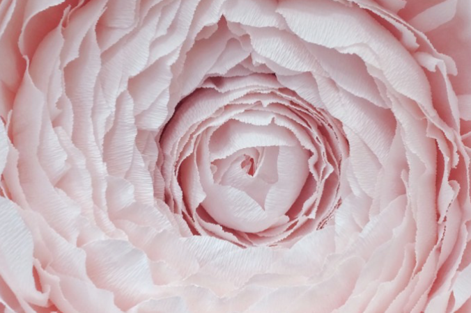 Come fare fiori di carta giganti