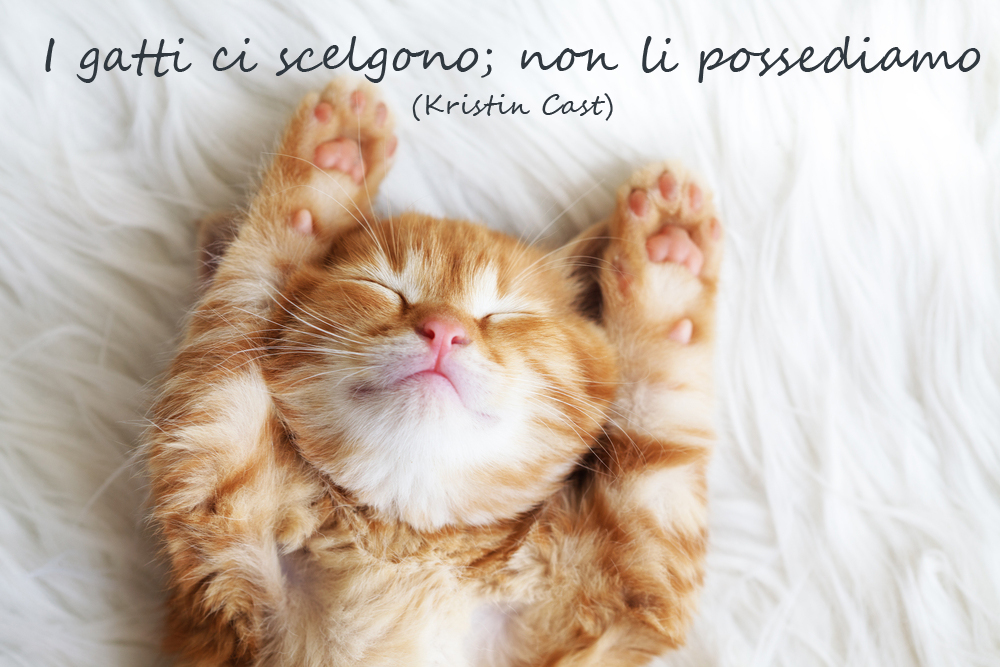 giornata-gatto-immagini-frasi-2.jpg