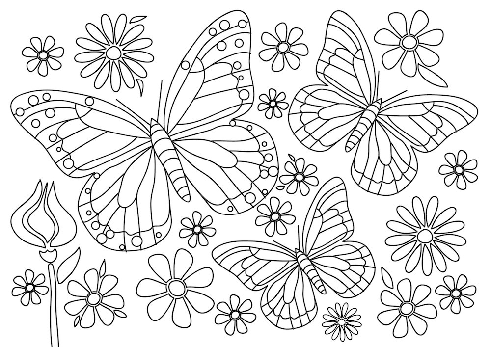 disegni-primavera-colorare-0_0.jpg