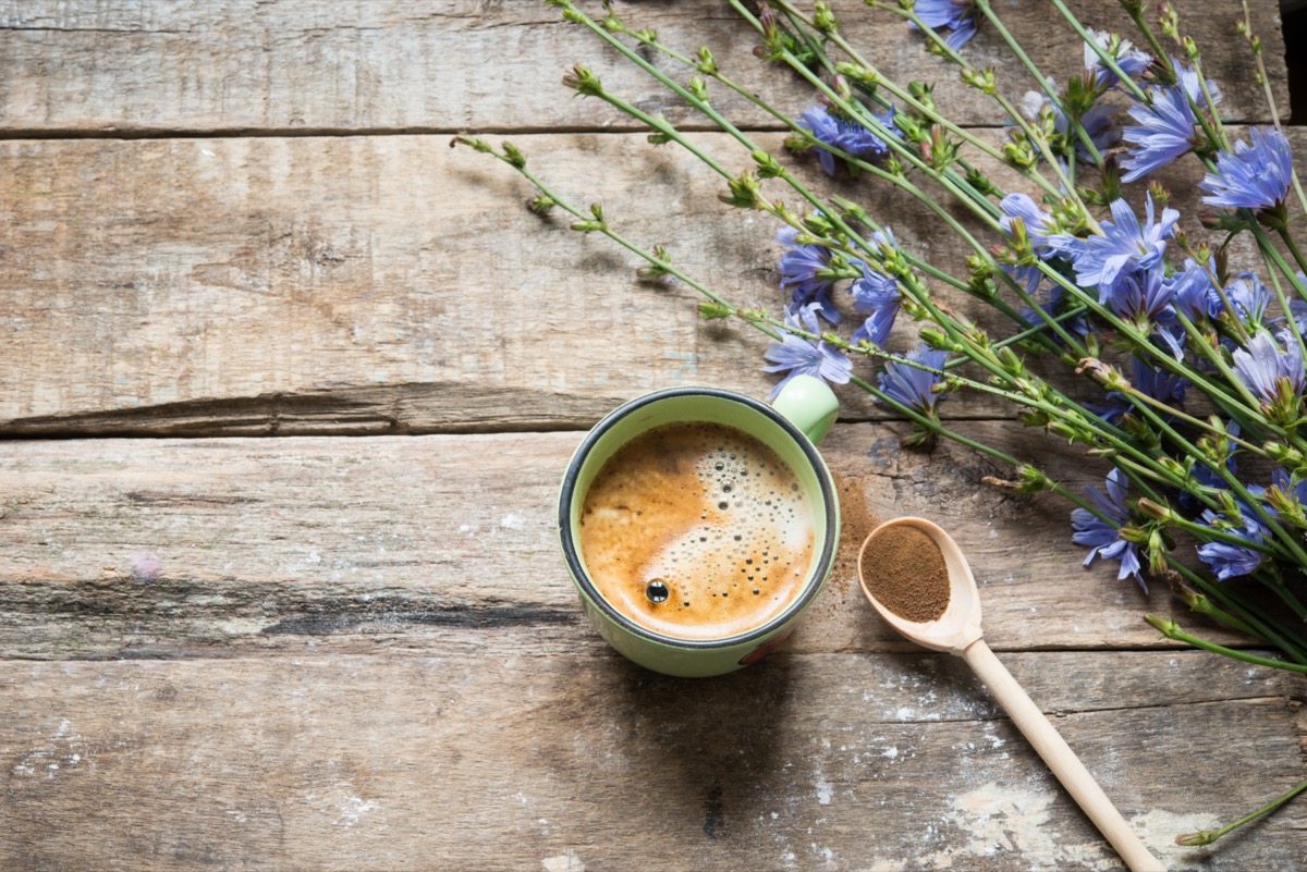 Gli effetti collaterali del caffè di cicoria e quando evitarlo