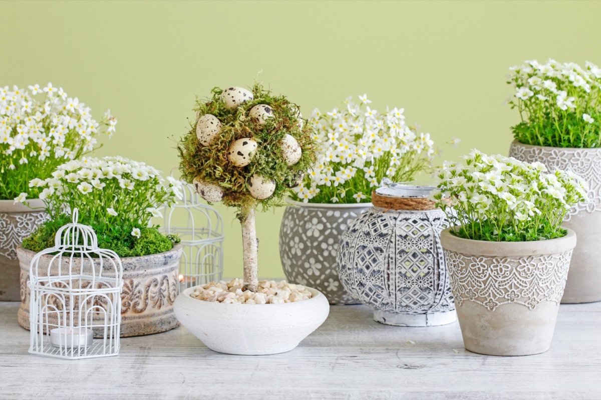 Centrotavola-pasqua-fiori-8.jpg