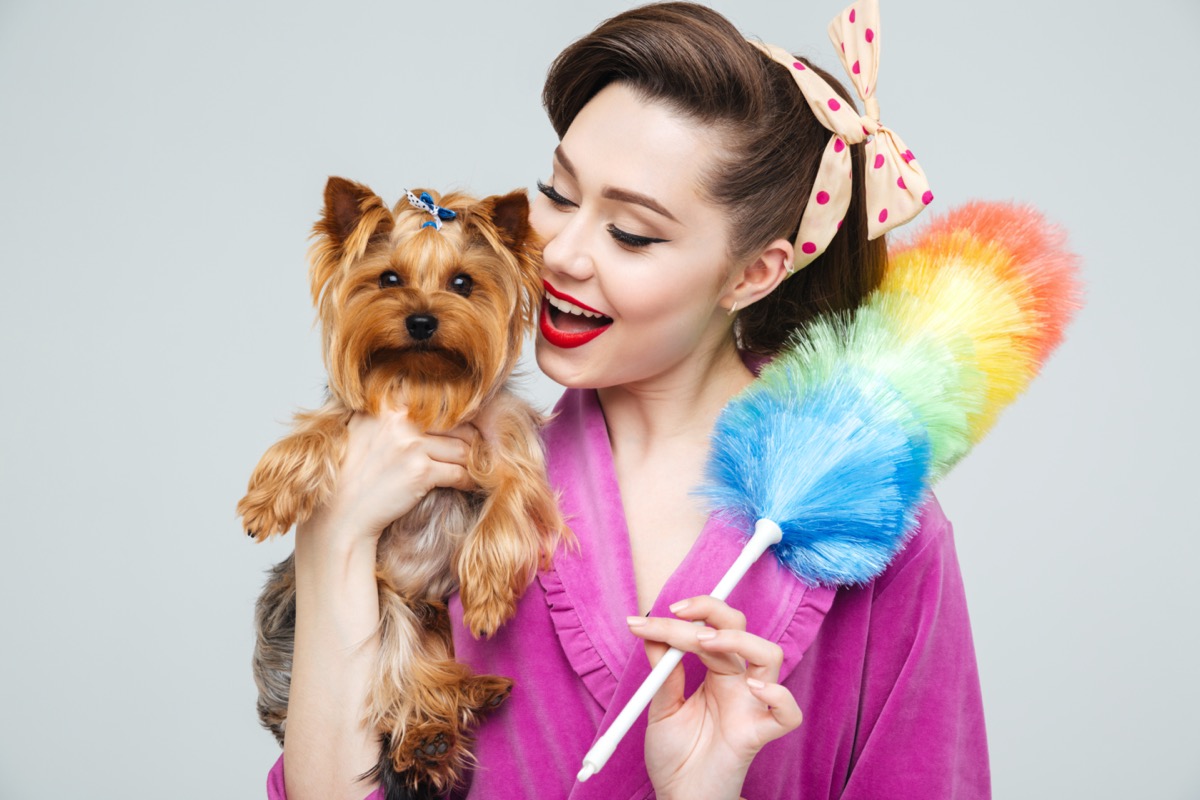 Pulizie di casa con animali: come farle a prova di igiene