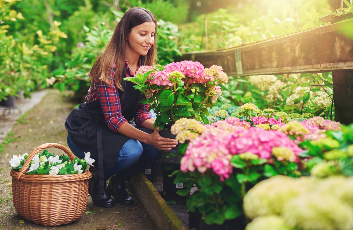 Festa della mamma: cosa regalare ad una patita di giardinaggio