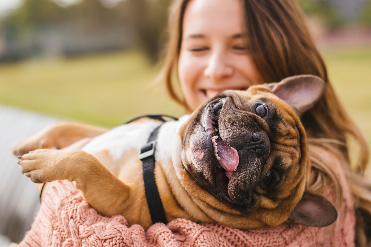 Sognare di abbracciare e baciare un cane: il significato del sogno