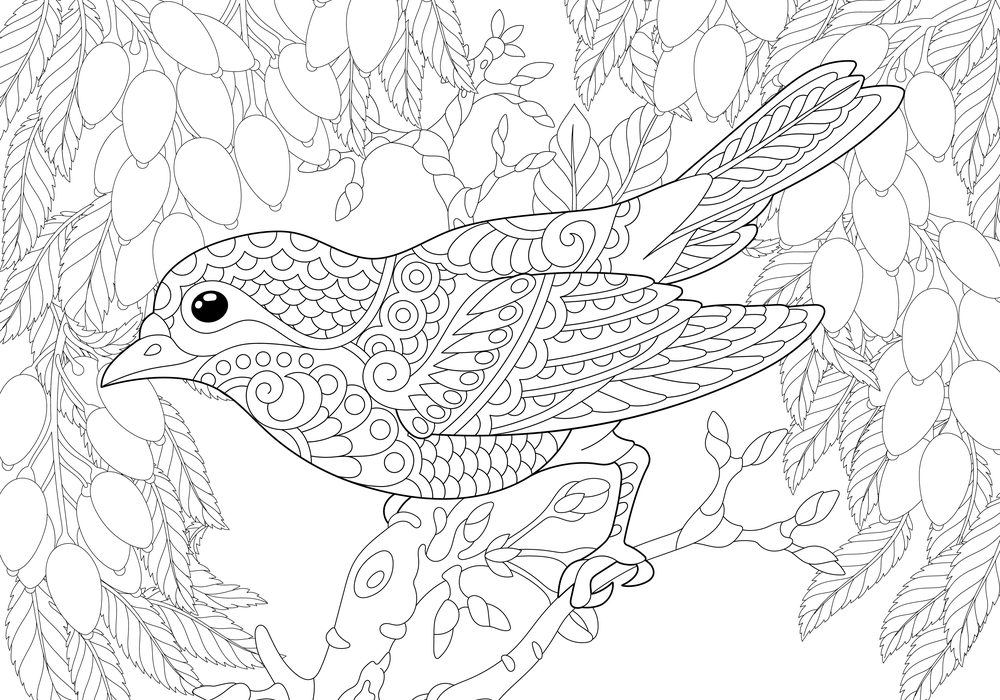 disegni-da-colorare-adulti-2.png