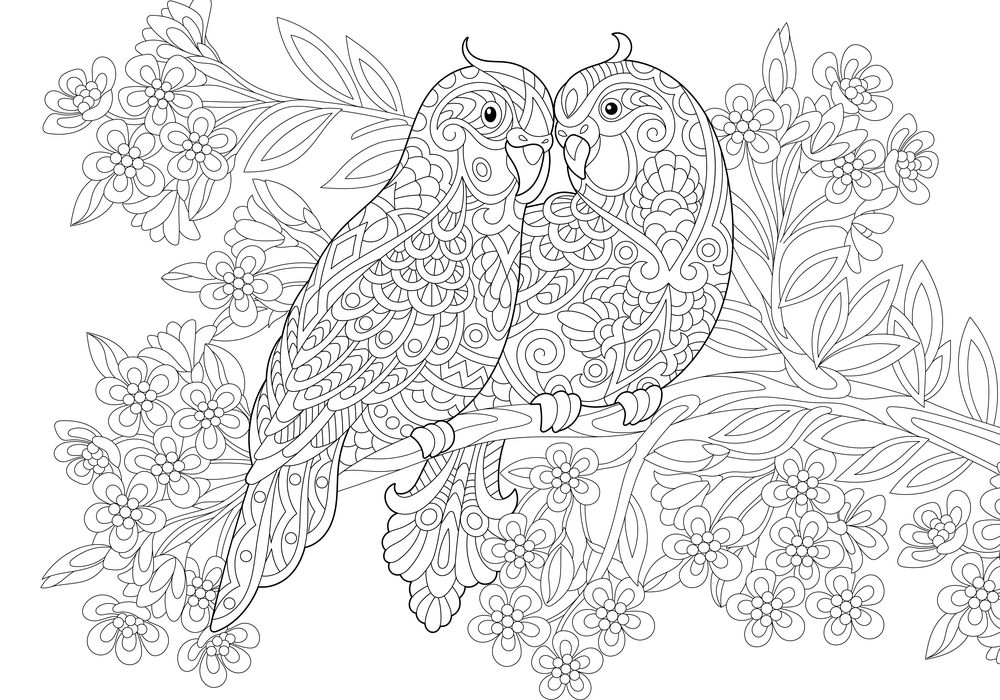 disegni-da-colorare-adulti-4.png