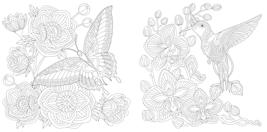 disegni-da-colorare-adulti-6.jpg