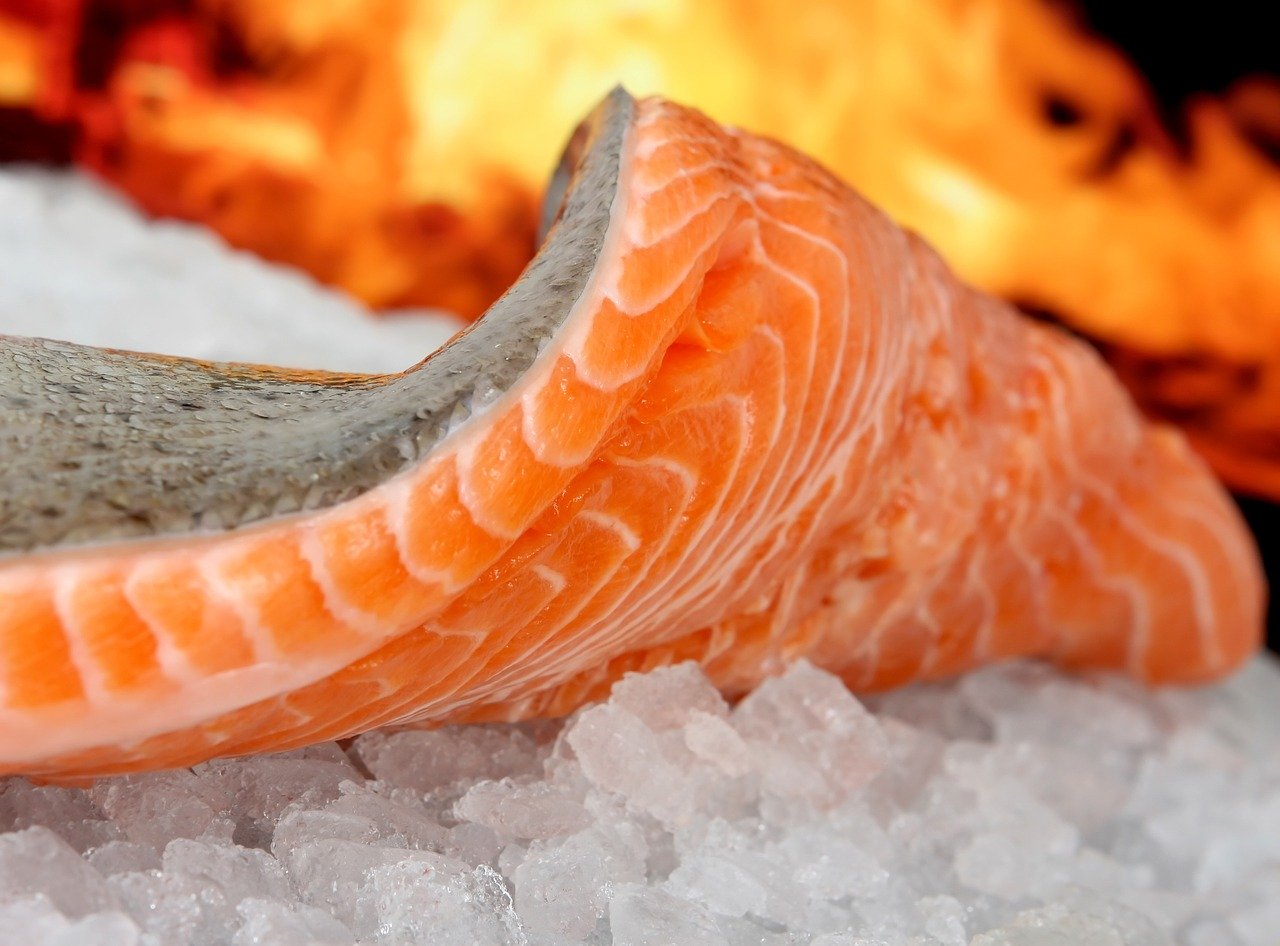 Quanto dura il pesce nel congelatore