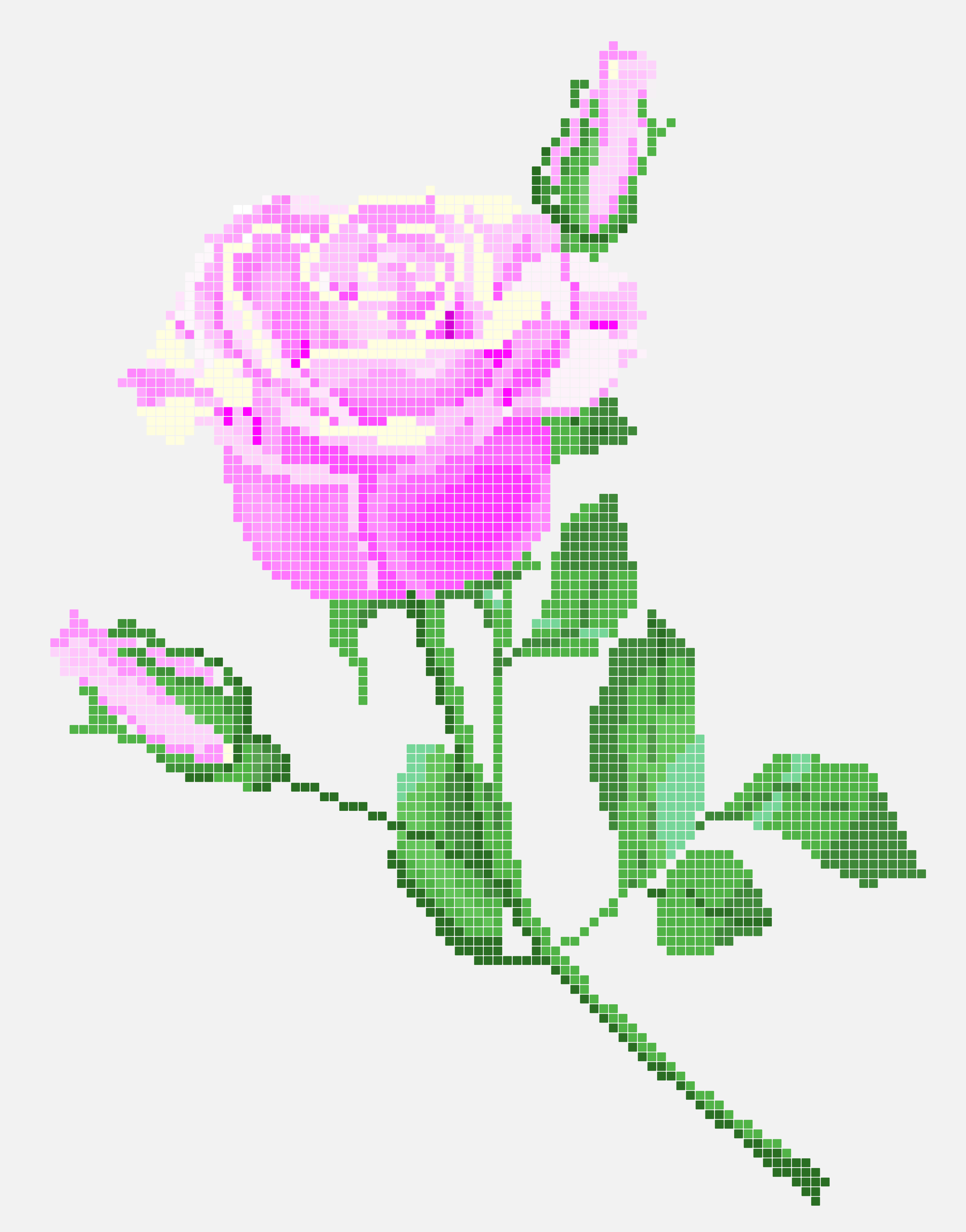 punto-croce-rose-11.jpg