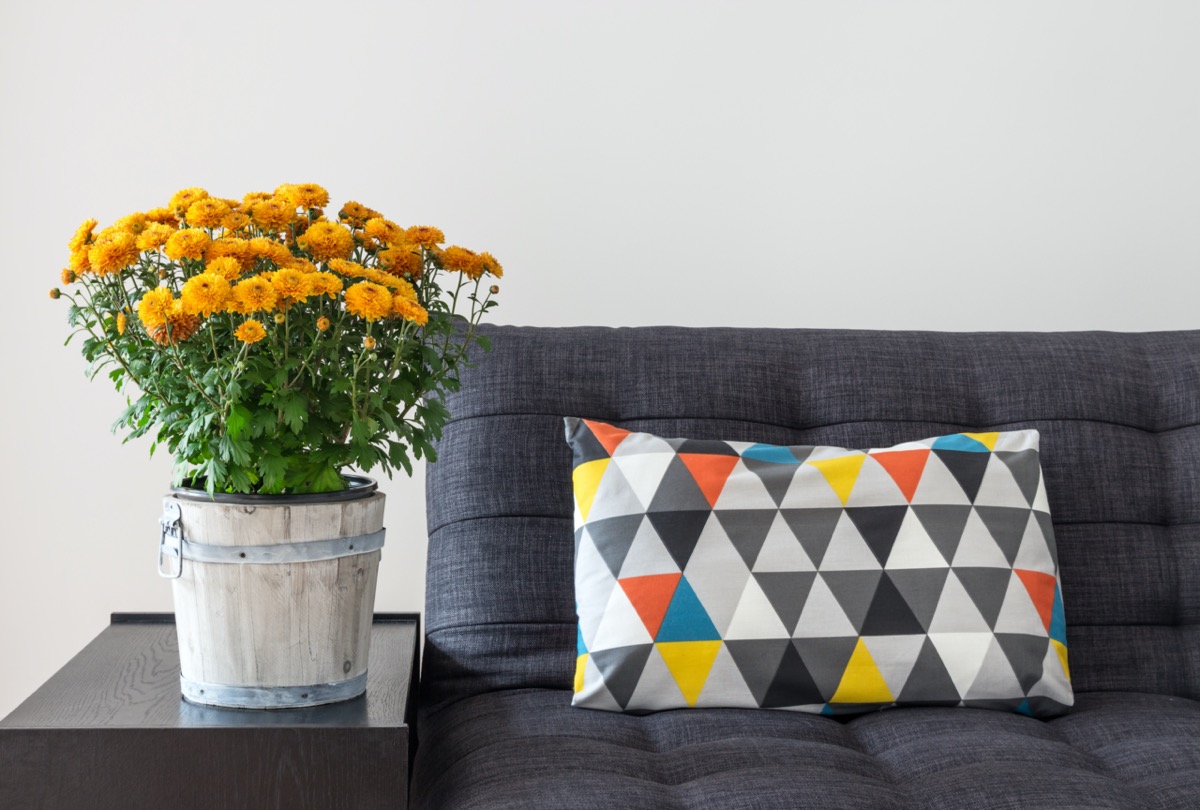 Cuscini-sofa-decorativi-5.jpg