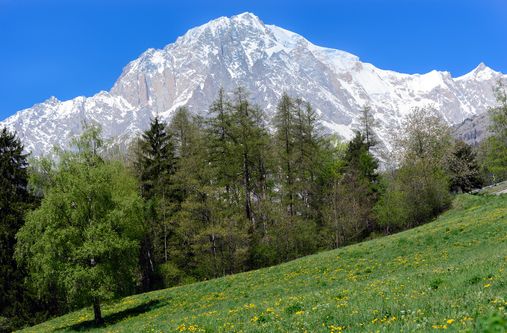 monte-bianco.jpg