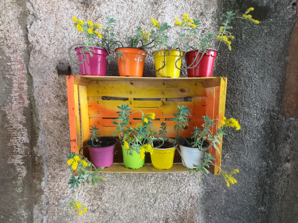 Come conservare i vasi di plastica, argilla e ceramica durante l'inverno