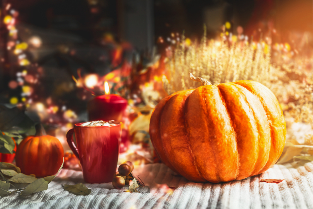 Vetrine autunnali: 7 idee a cui ispirarsi per le decorazioni