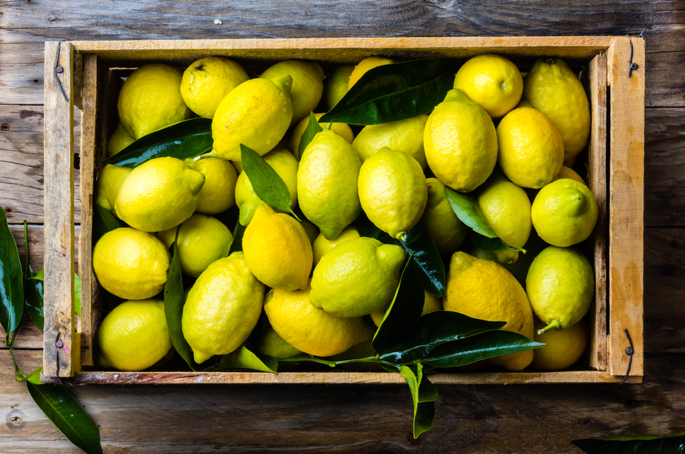 Come conservare i limoni nel modo giusto