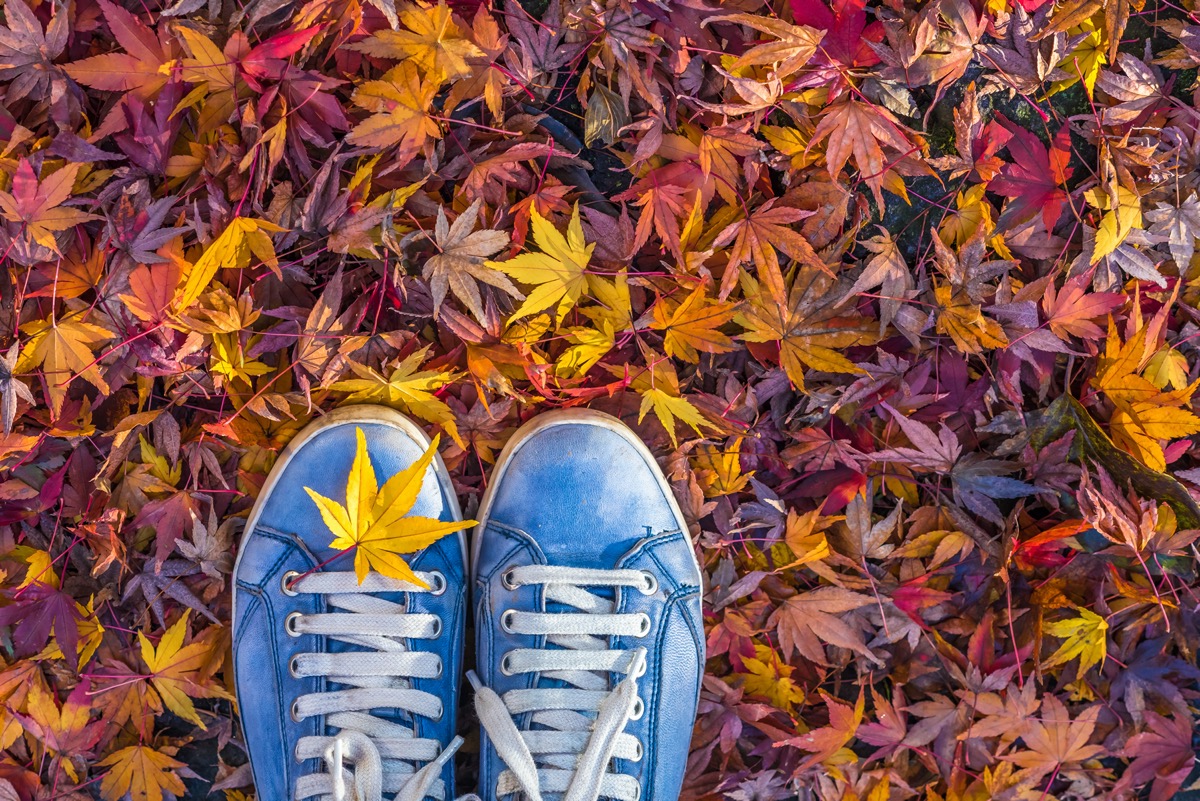 Equinozio-autunno-immagini-2.jpg