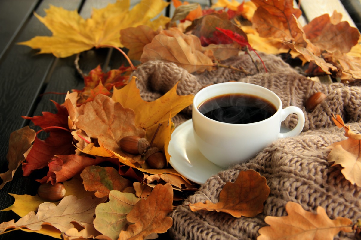 Equinozio-autunno-immagini-4.jpg