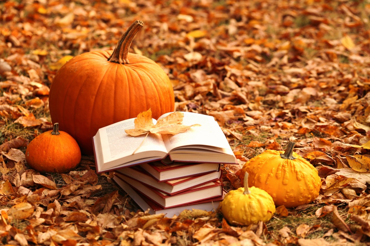 Equinozio-autunno-immagini-6.jpg