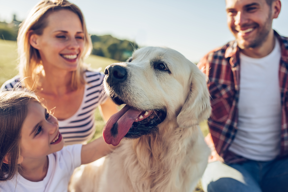 Razze di cani adatte alla famiglia: una piccola lista per scegliere bene