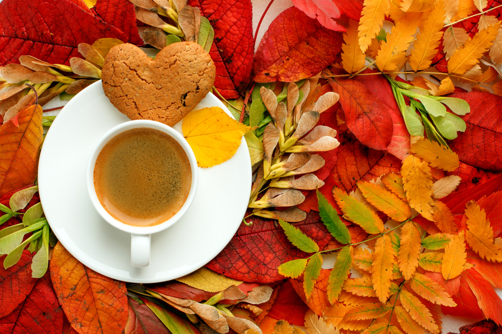 Cosa fare domenica pomeriggio in autunno: 5 idee per il relax assoluto
