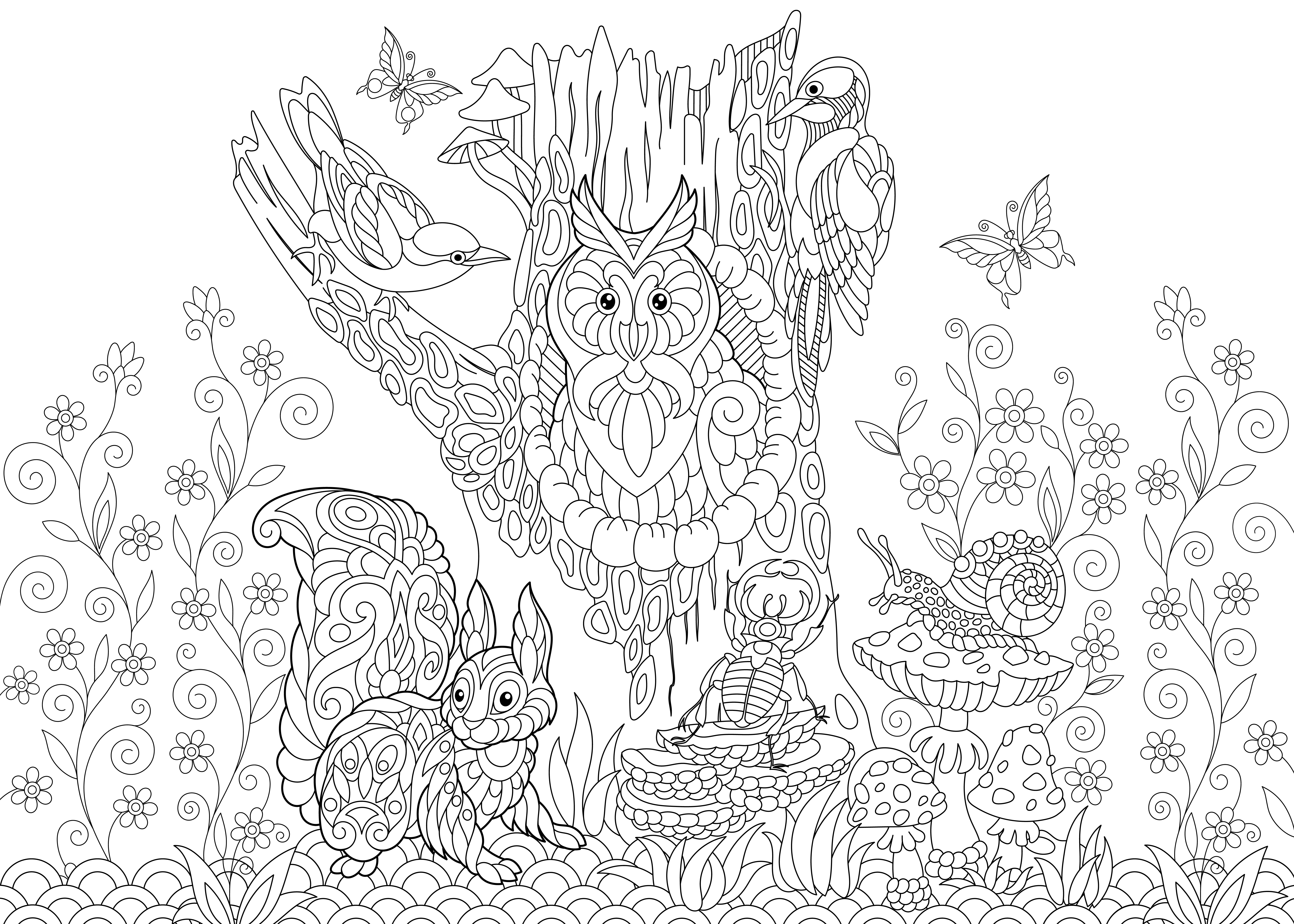 disegni-paesaggi-autunnali-da-colorare-5.jpg