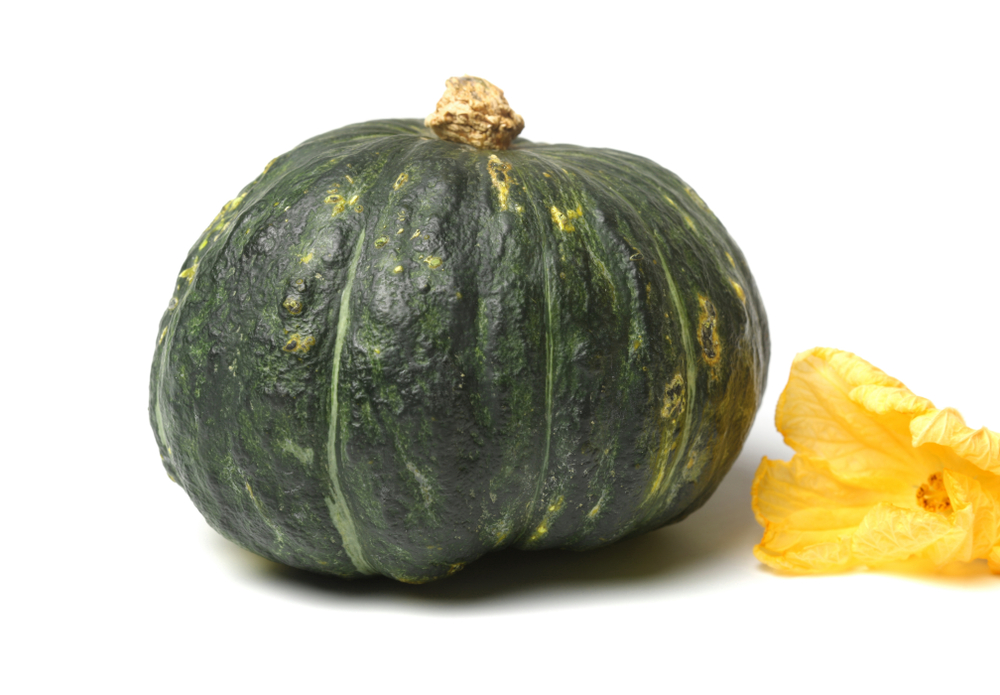 Zucca delica: proprietà e valori nutrizionali
