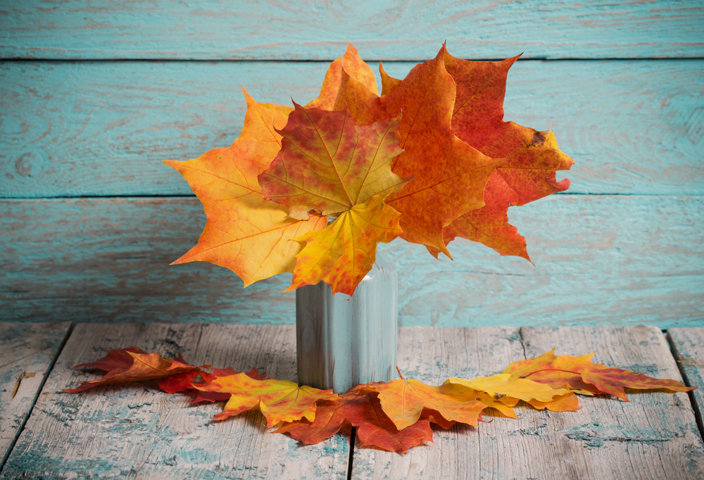 decorazioni-autunnali-fai-da-te-foglie-3.jpg