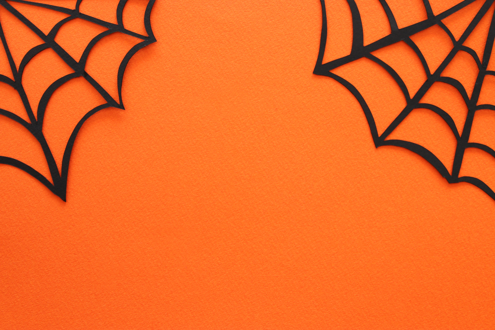 Lavoretti di Halloween per bambini: ragnatele fai da te per divertirsi anche a casa