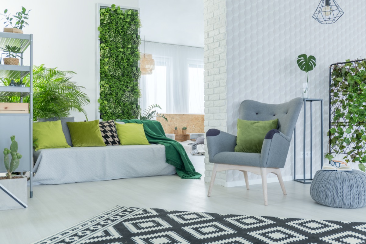 Arredare con le piante da interno: 7 soluzioni per la casa