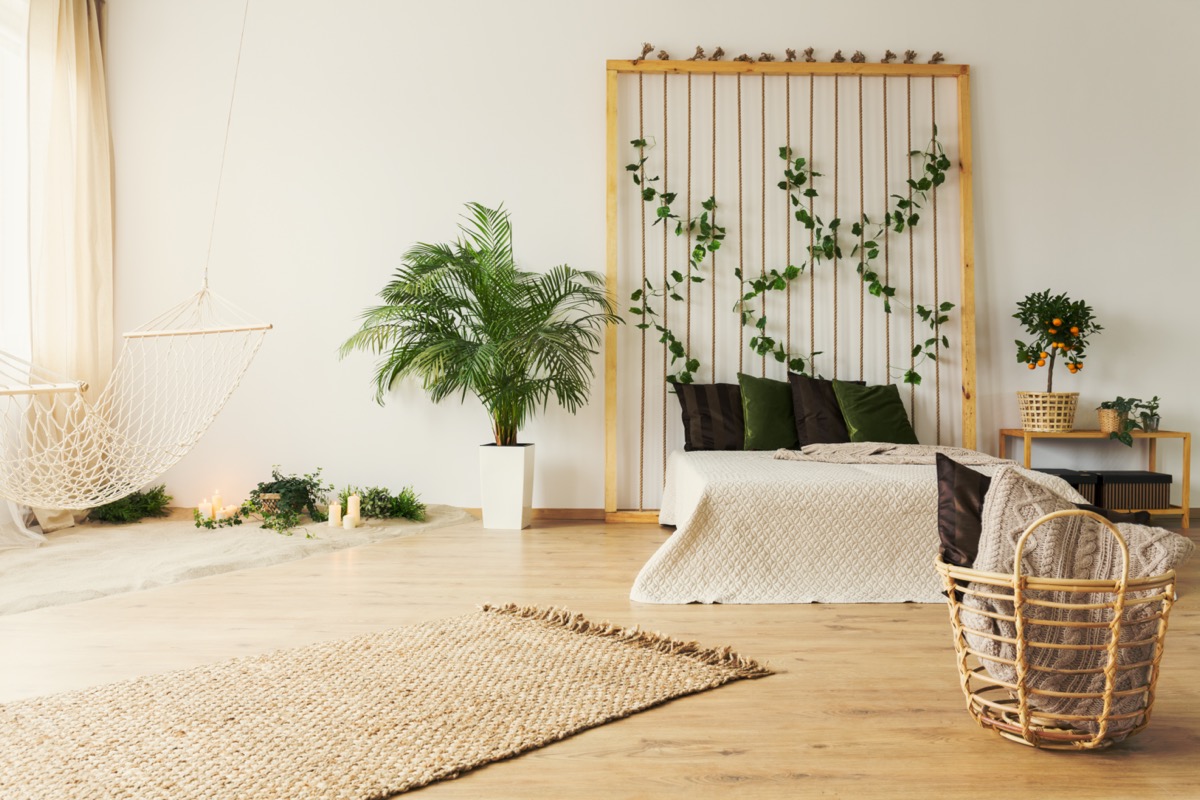 Arredare-piante-interno-3.jpg