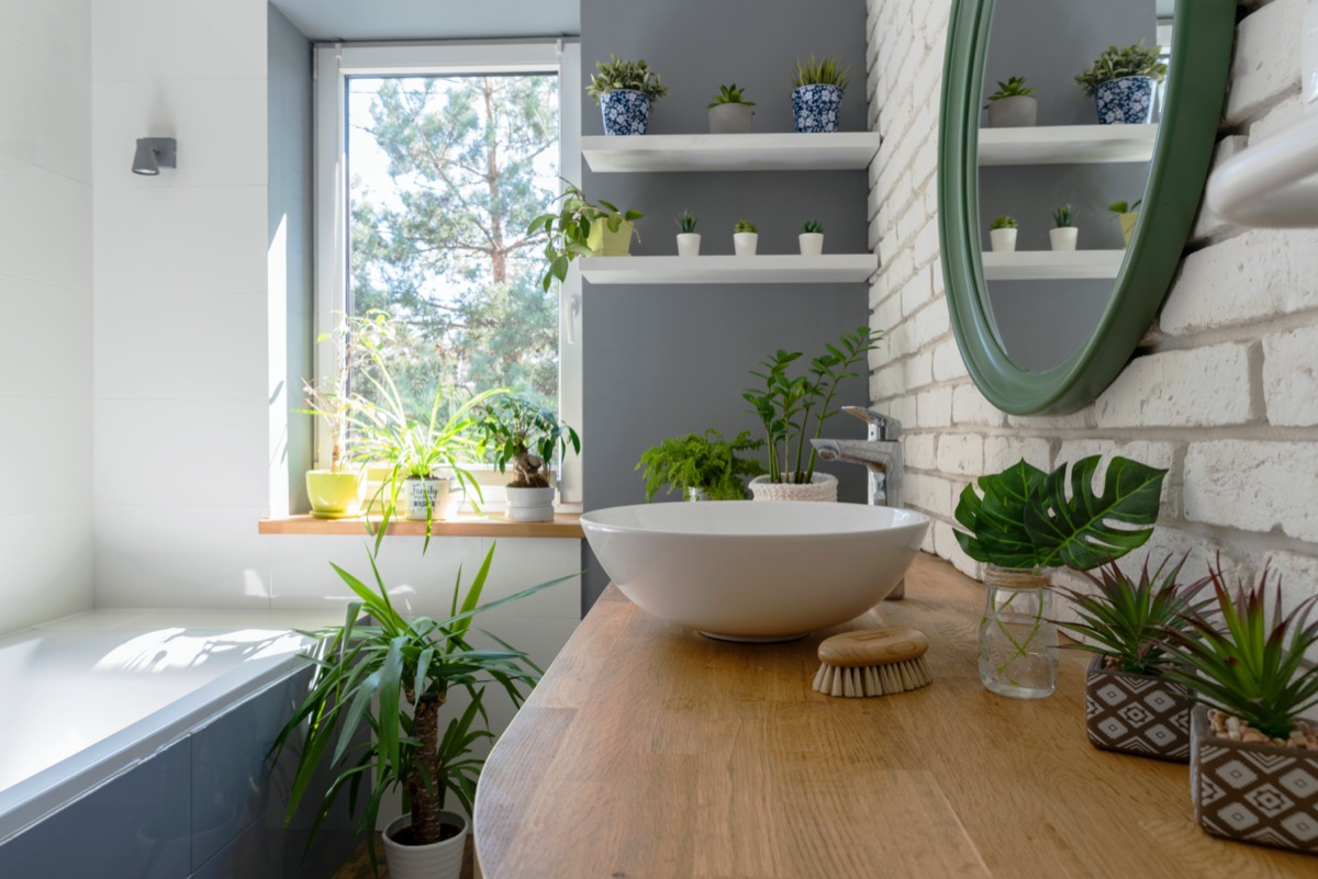 Arredare-piante-interno-7.jpg