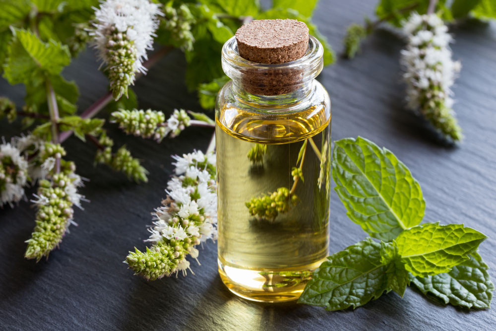 Olio essenziale alla menta piperita, gli usi che non sapevi di poter sfruttare