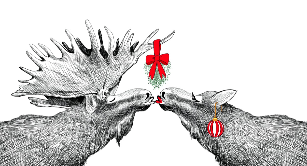 Immagini-vischio-agrifoglio-3.jpg