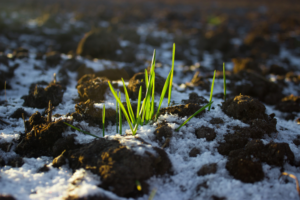 Inverno di Ungaretti e altre 5 poesie per il solstizio del 21 dicembre