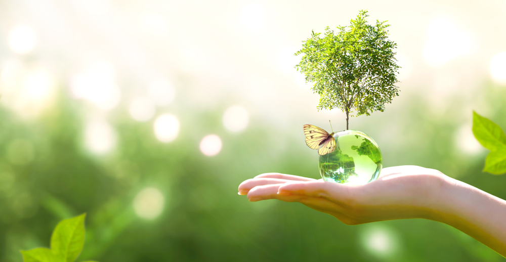 ProNature, quando sostenibilità ed ecologia diventano sinonimi di prodotti di qualità