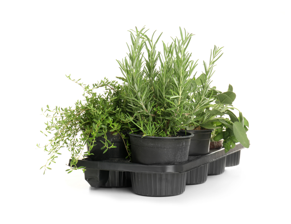 Porta piantine aromatiche fai da te