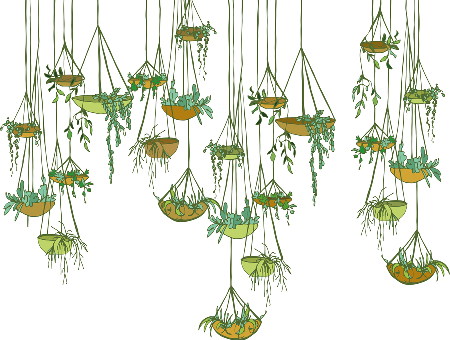 Come appendere le piante in maniera creativa, gli spunti