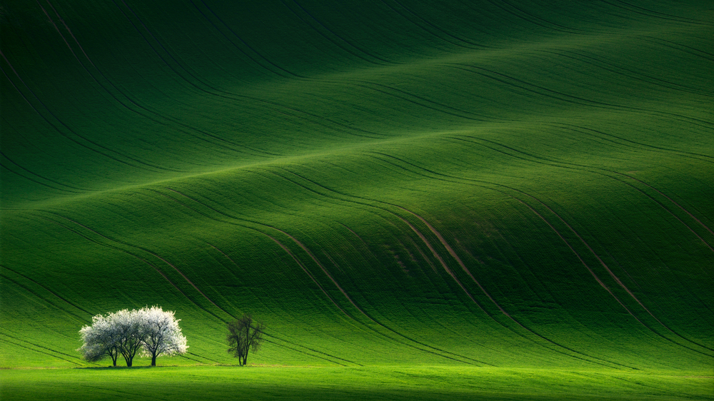 sfondi-desktop-paesaggi-primaverili-gratis-10.jpg
