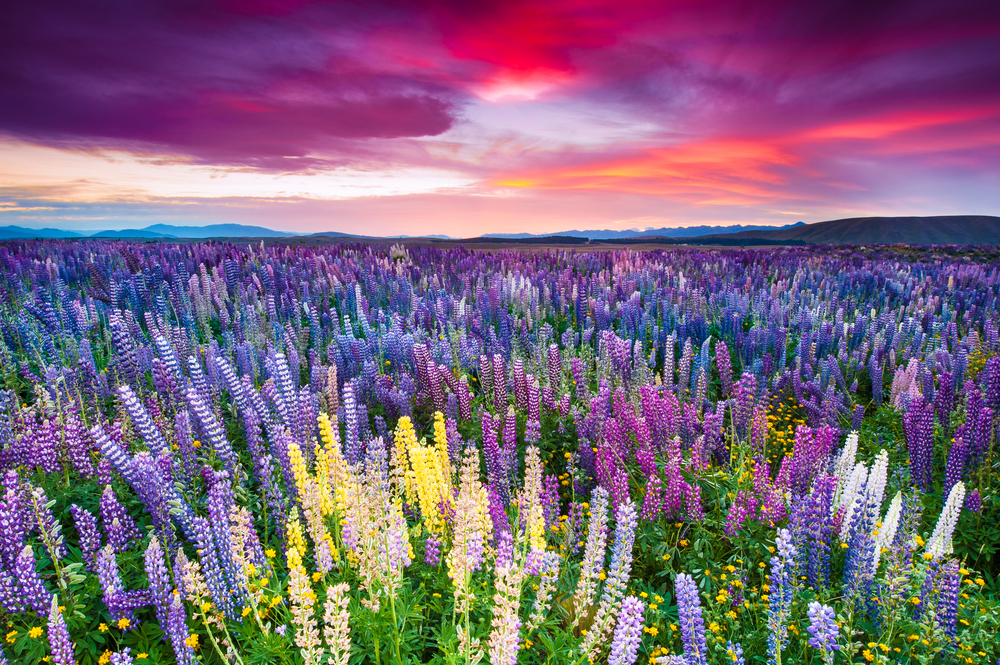 sfondi-desktop-paesaggi-primaverili-gratis-3.jpg