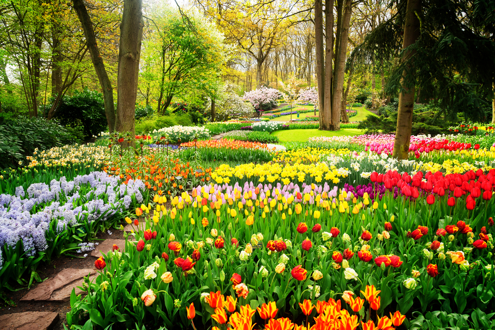 sfondi-desktop-paesaggi-primaverili-gratis-5.jpg