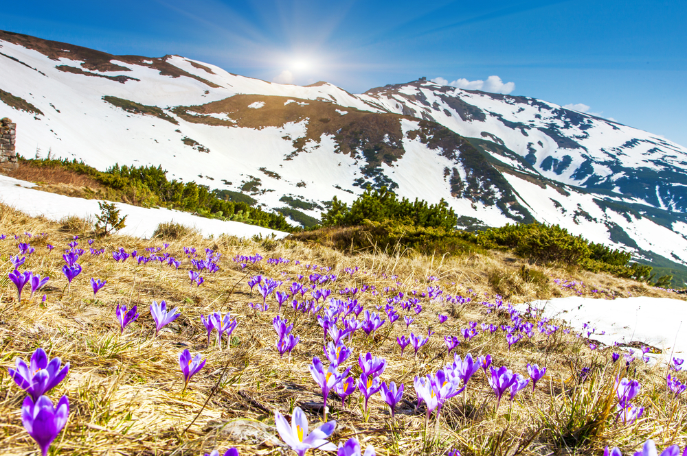 sfondi-desktop-paesaggi-primaverili-gratis-9.jpg