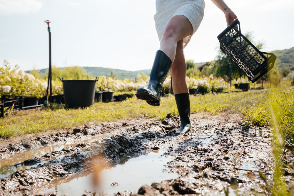 Come togliere il fango dal giardino