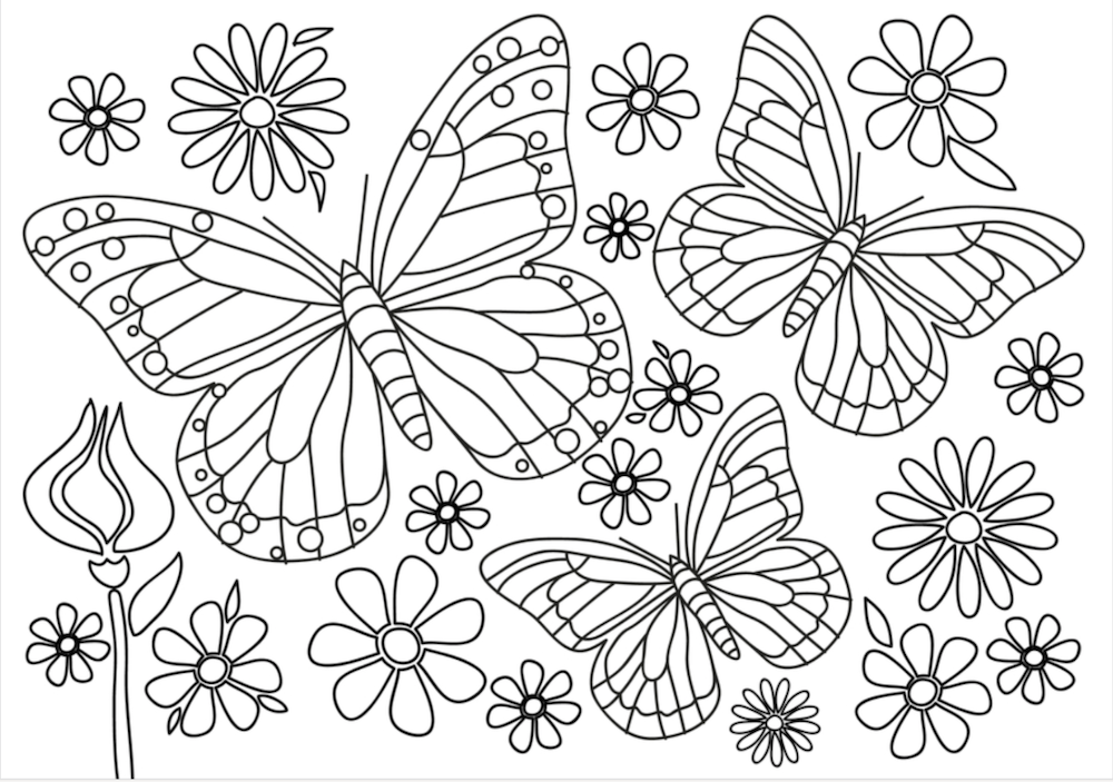 disegni-primavera-colorare-1.png
