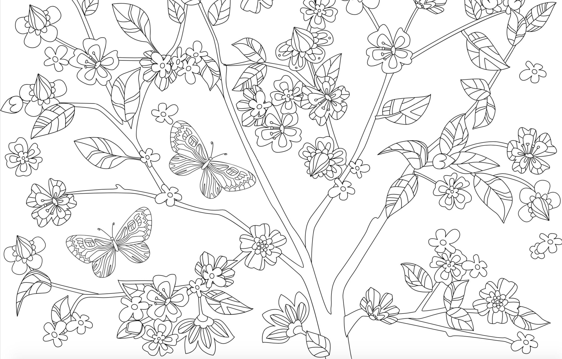 disegni-primavera-colorare-4.png
