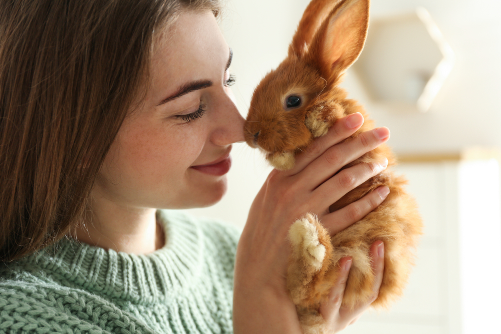Animali da compagnia piccoli: i meno impegnativi