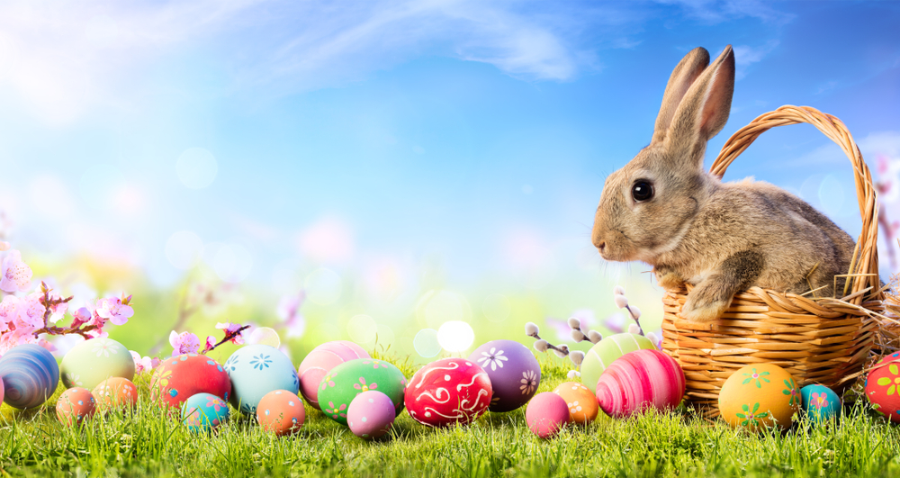 Sfondi per videochiamate di Pasqua: 7 immagini gratis